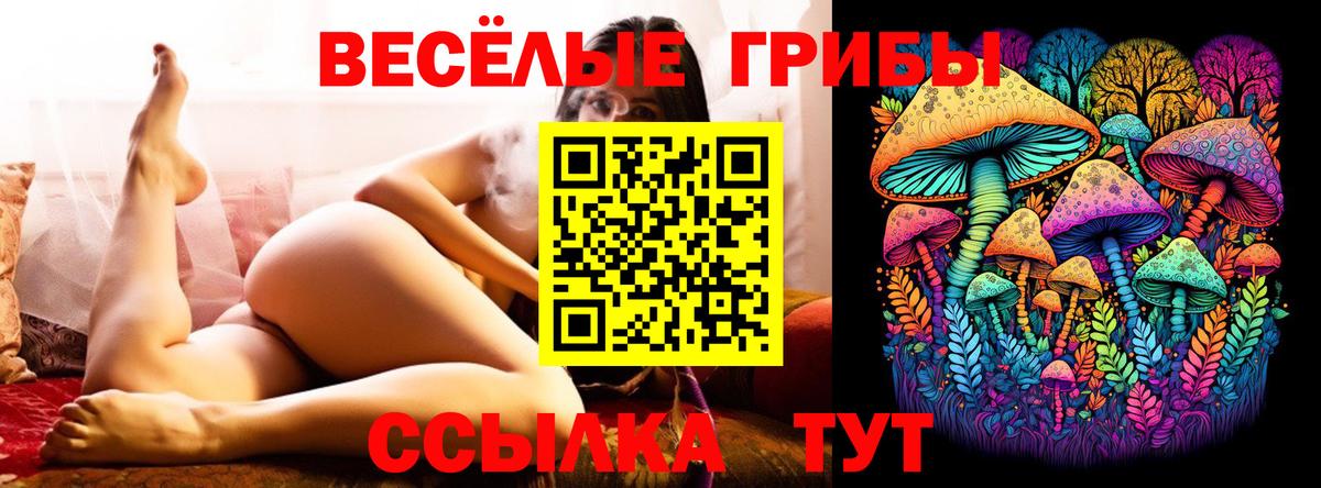 Псилоцибиновые грибы Magic Shrooms  Галлюциногенные грибы GOLDEN TEACHER  Вход с VPN  Сатка 